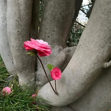 شقة La Mia Casa Sul Con Vista Mozzafiato