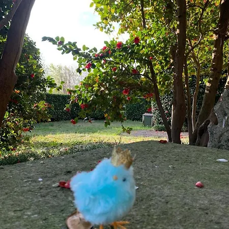 La Mia Casa Sul Con Vista Mozzafiato * Belgirate