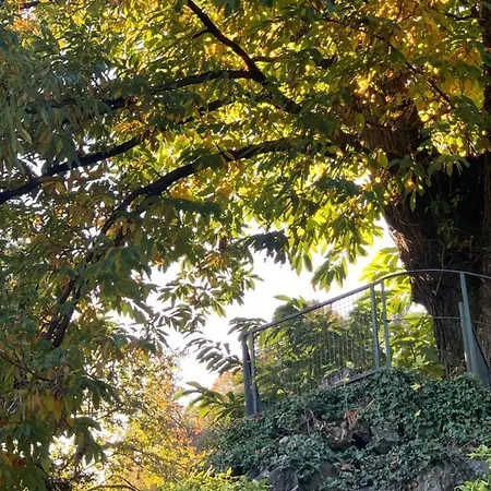 La Mia Casa Sul Con Vista Mozzafiato Apartamento Belgirate