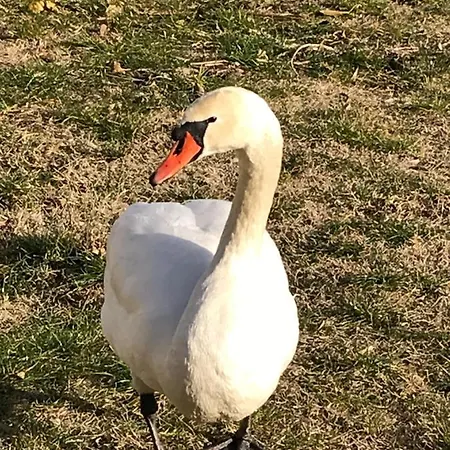 شقة La Mia Casa Sul Con Vista Mozzafiato *