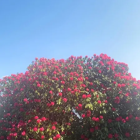 La Mia Casa Sul Con Vista Mozzafiato * Belgirate