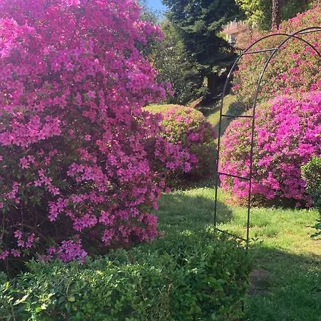 Apartman La Mia Casa Sul Con Vista Mozzafiato Belgirate