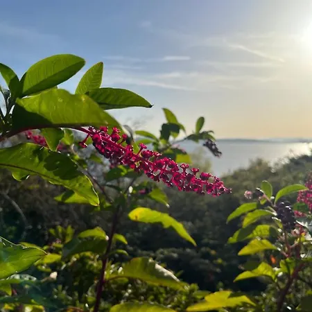 La Mia Casa Sul Con Vista Mozzafiato Apartman Belgirate