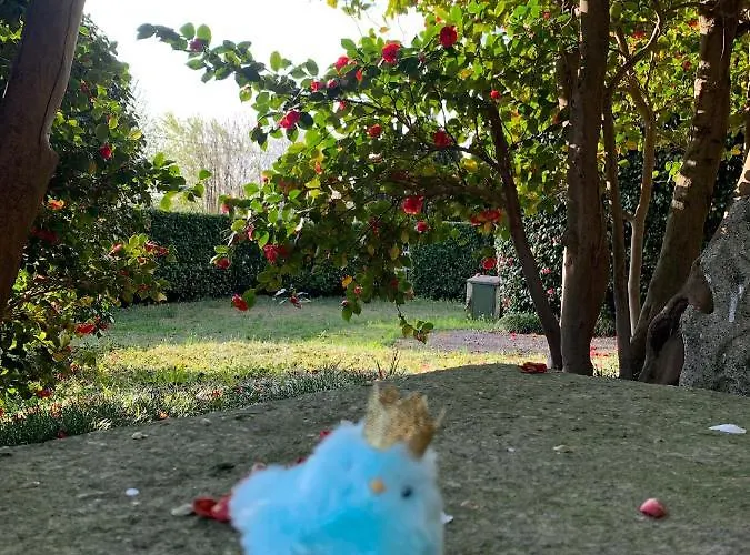 La Mia Casa Sul Con Vista Mozzafiato * 벨지라테