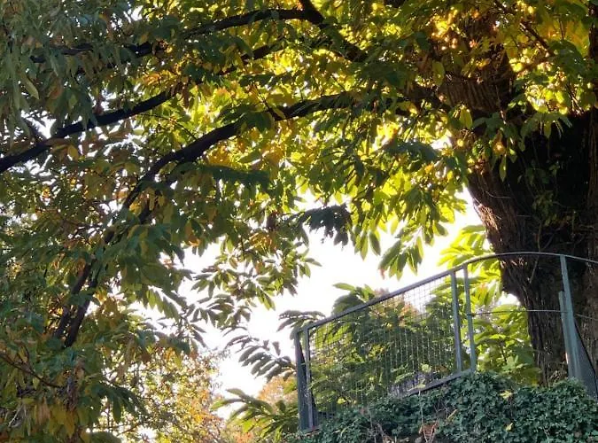 La Mia Casa Sul Con Vista Mozzafiato 아파트 벨지라테