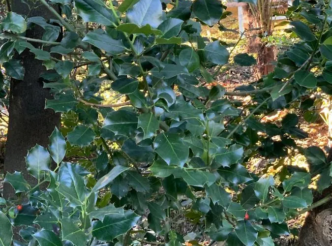 아파트 La Mia Casa Sul Con Vista Mozzafiato 벨지라테