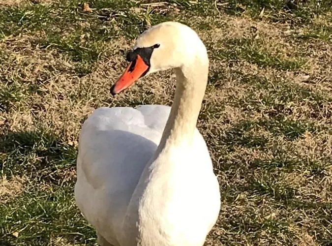 아파트 La Mia Casa Sul Con Vista Mozzafiato *
