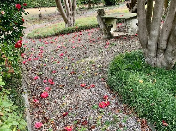 아파트 La Mia Casa Sul Con Vista Mozzafiato