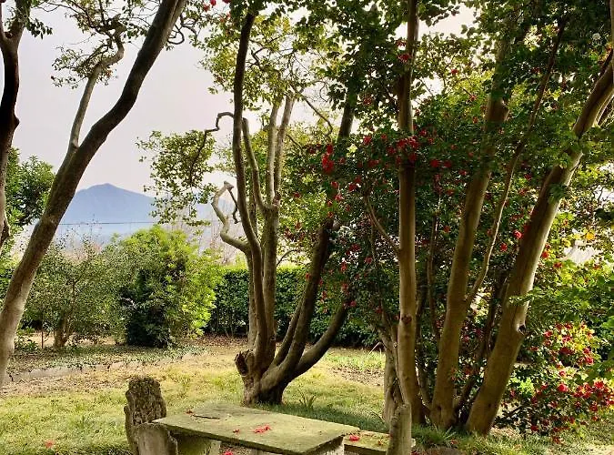 아파트 La Mia Casa Sul Con Vista Mozzafiato 벨지라테