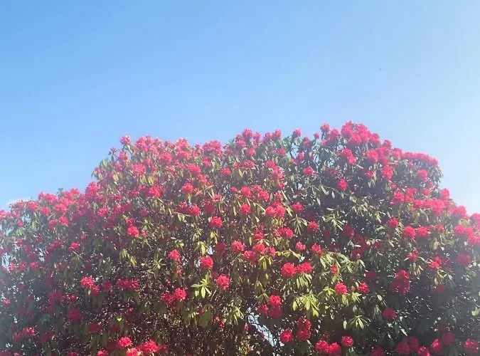 La Mia Casa Sul Con Vista Mozzafiato * 벨지라테