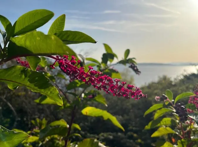 La Mia Casa Sul Con Vista Mozzafiato Apartment Belgirate