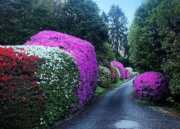 La Mia Casa Sul Con Vista Mozzafiato * 벨지라테